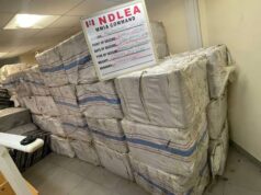 NDLEA seizes ₦6.98bn Tramadol shipment, arrests 85-year-old suspect